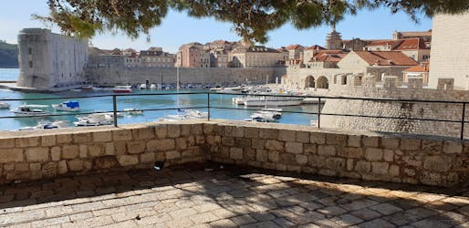 Visita guiada privada al casco antiguo de Dubrovnik